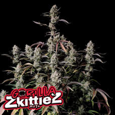 Gorilla Zkittlez Auto - FastBuds
